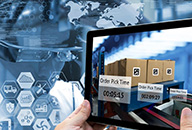 Governance and Management of High-Level Committees