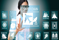 Governance and Management of High-Level Committees